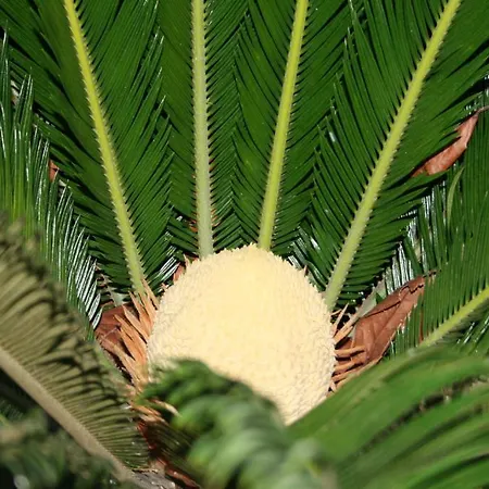 La Perla Ξενοδοχείο